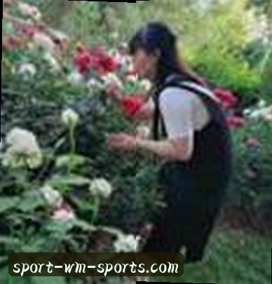 前大厂架构师 老李